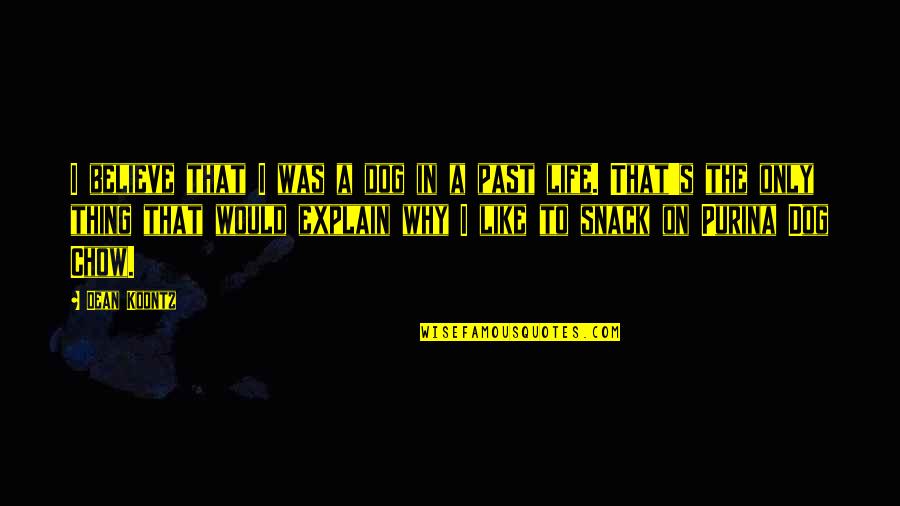 Chow Chow Quotes By Dean Koontz: I believe that I was a dog in