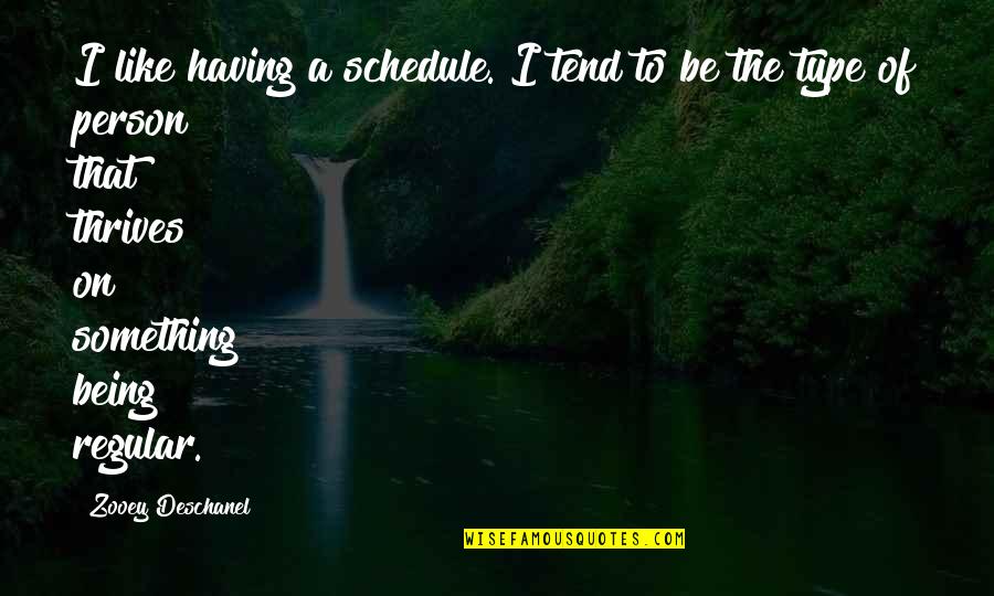 Chowkandi Quotes By Zooey Deschanel: I like having a schedule. I tend to