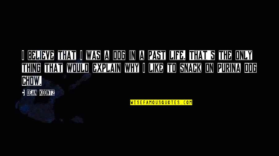 Chow's Quotes By Dean Koontz: I believe that I was a dog in Chow's Quotes By Dean Koontz: I believe that I was a dog in
