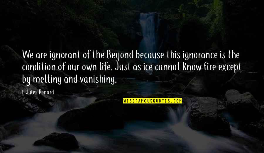 Chretienne In English Quotes By Jules Renard: We are ignorant of the Beyond because this