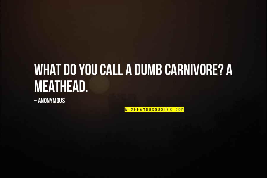 Chris Baty Quotes By Anonymous: What do you call a dumb carnivore? A