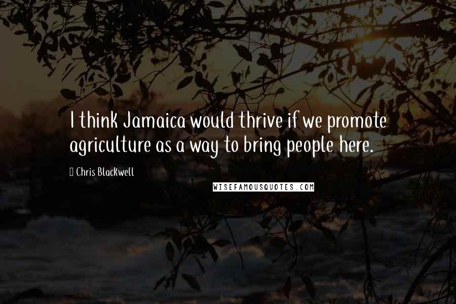 Chris Blackwell quotes: I think Jamaica would thrive if we promote agriculture as a way to bring people here.