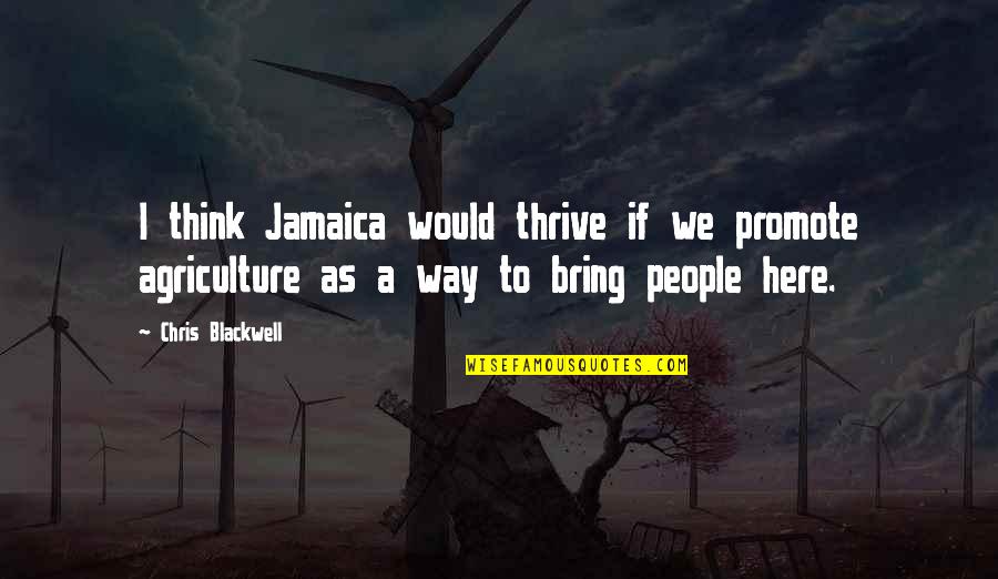 Chris Blackwell Quotes By Chris Blackwell: I think Jamaica would thrive if we promote Chris Blackwell Quotes By Chris Blackwell: I think Jamaica would thrive if we promote