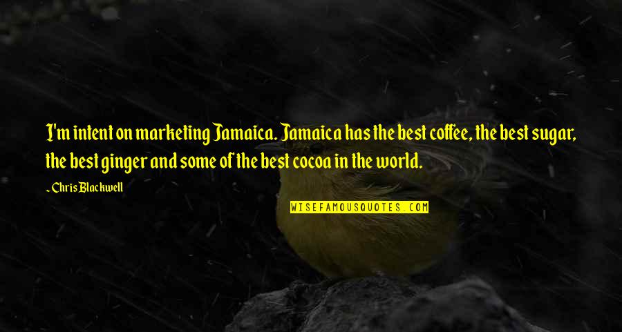 Chris Blackwell Quotes By Chris Blackwell: I'm intent on marketing Jamaica. Jamaica has the Chris Blackwell Quotes By Chris Blackwell: I'm intent on marketing Jamaica. Jamaica has the