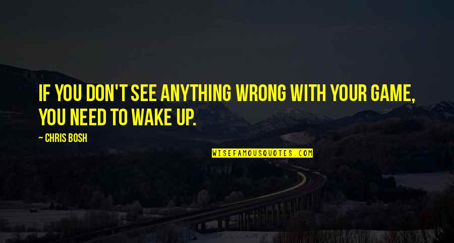 Chris Bosh Quotes By Chris Bosh: If you don't see anything wrong with your
