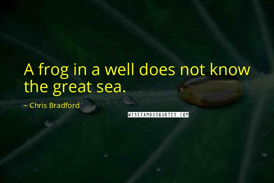 Chris Bradford quotes: A frog in a well does not know the great sea.