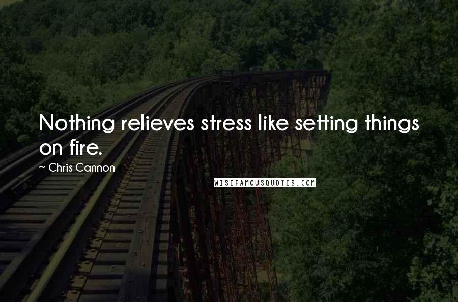Chris Cannon quotes: Nothing relieves stress like setting things on fire.