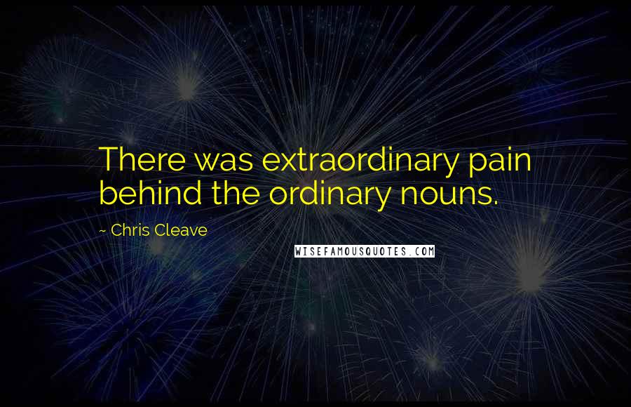 Chris Cleave quotes: There was extraordinary pain behind the ordinary nouns.