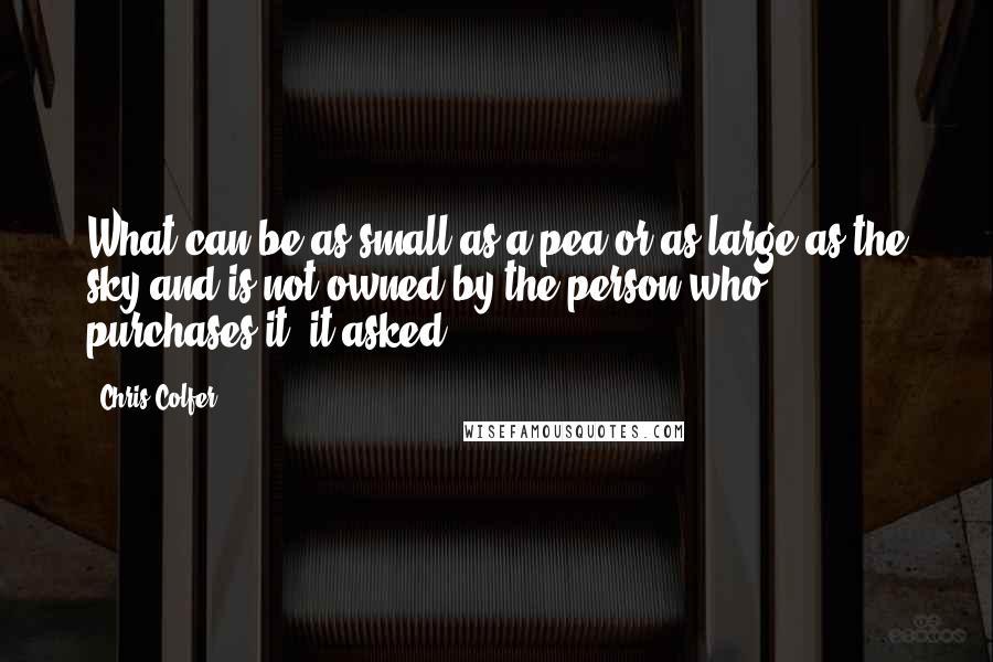 Chris Colfer quotes: What can be as small as a pea or as large as the sky and is not owned by the person who purchases it? it asked.