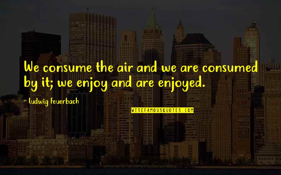 Chris Coons Quotes By Ludwig Feuerbach: We consume the air and we are consumed Chris Coons Quotes By Ludwig Feuerbach: We consume the air and we are consumed