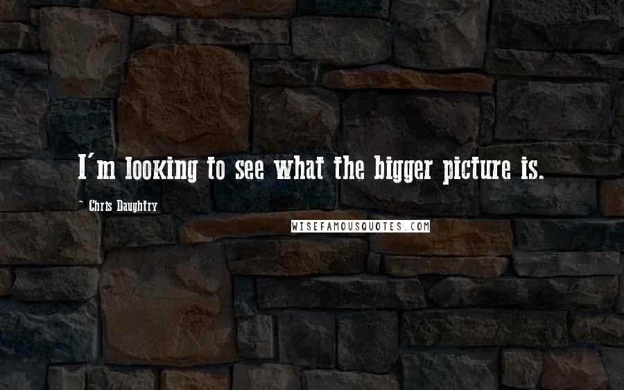 Chris Daughtry quotes: I'm looking to see what the bigger picture is.