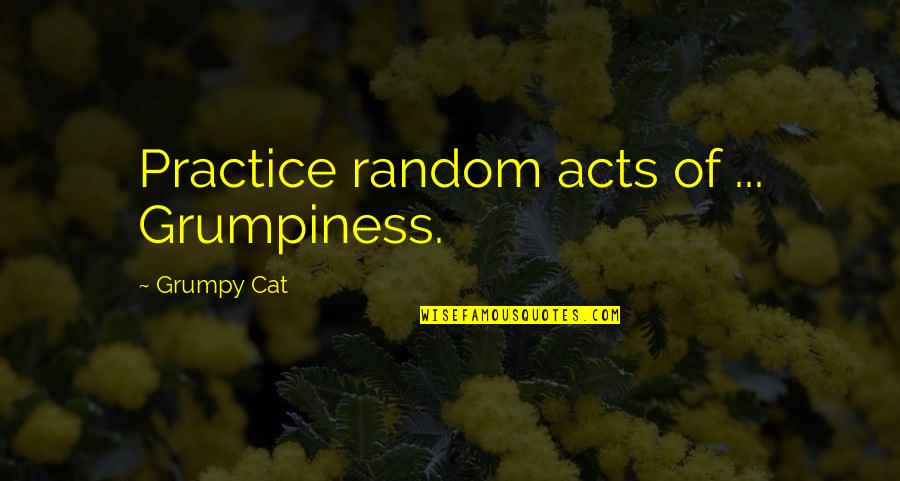 Chris Duffin Quotes By Grumpy Cat: Practice random acts of ... Grumpiness.