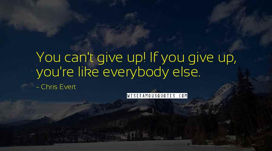 Chris Evert quotes: You can't give up! If you give up, you're like everybody else.