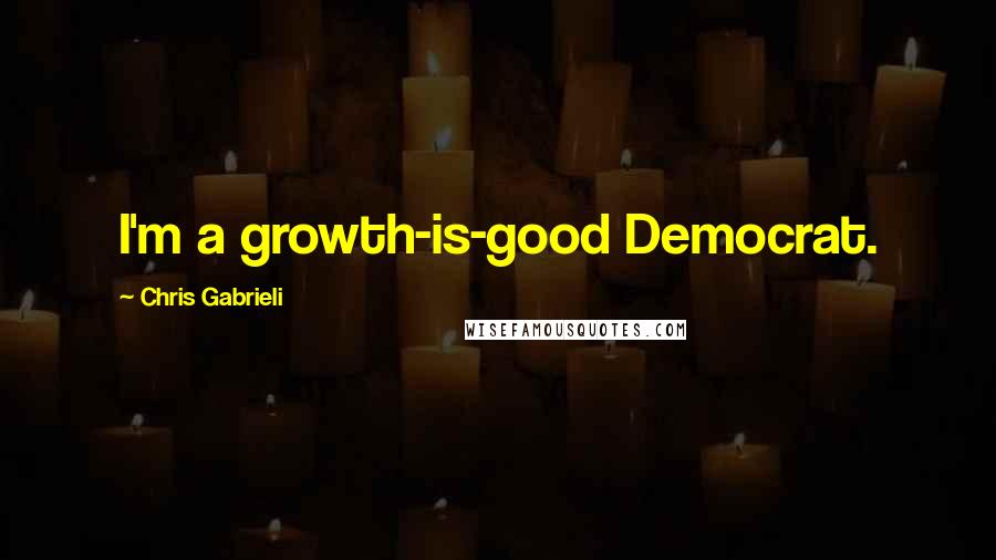 Chris Gabrieli quotes: I'm a growth-is-good Democrat.