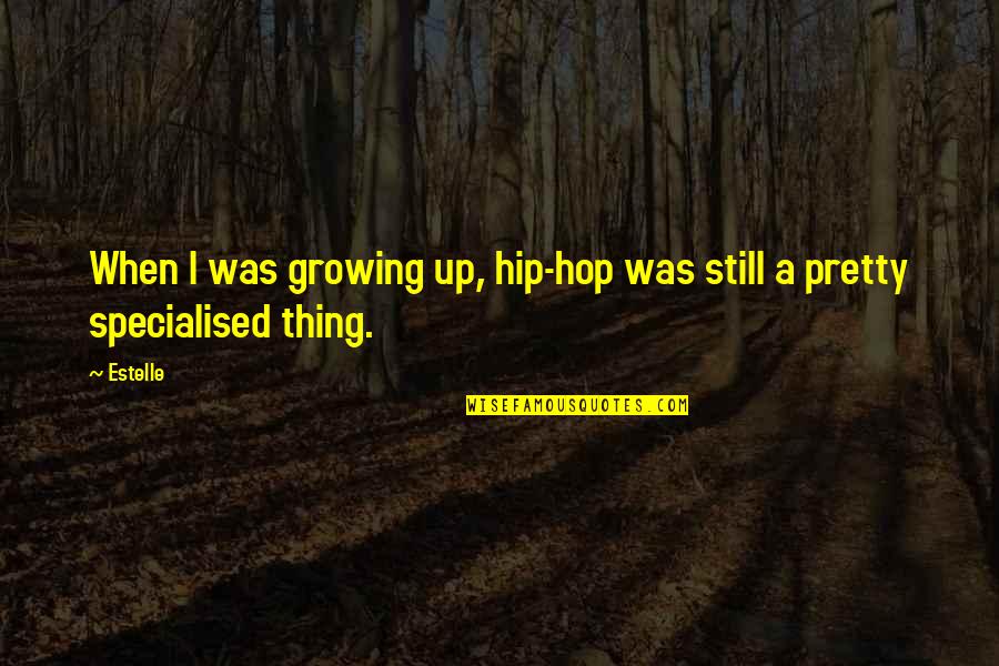 Chris Grosser Quotes By Estelle: When I was growing up, hip-hop was still
