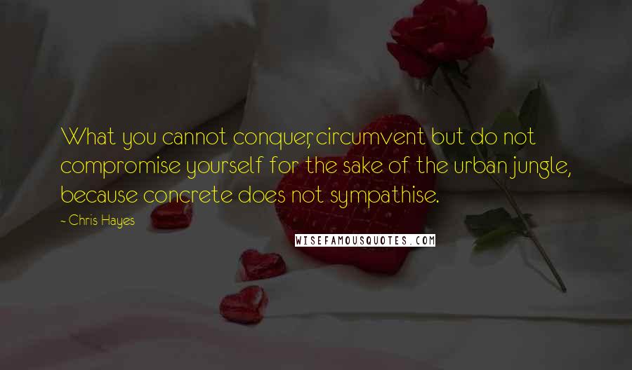Chris Hayes quotes: What you cannot conquer, circumvent but do not compromise yourself for the sake of the urban jungle, because concrete does not sympathise.