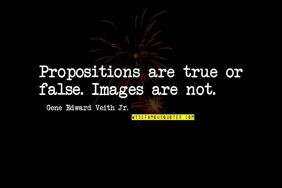 Chris Hondros Quotes By Gene Edward Veith Jr.: Propositions are true or false. Images are not.