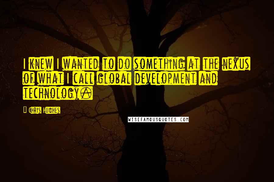 Chris Hughes quotes: I knew I wanted to do something at the nexus of what I call global development and technology.