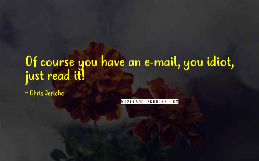 Chris Jericho quotes: Of course you have an e-mail, you idiot, just read it!