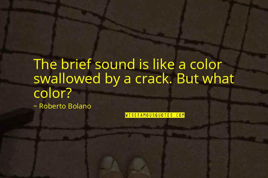 Chris Kresser Quotes By Roberto Bolano: The brief sound is like a color swallowed
