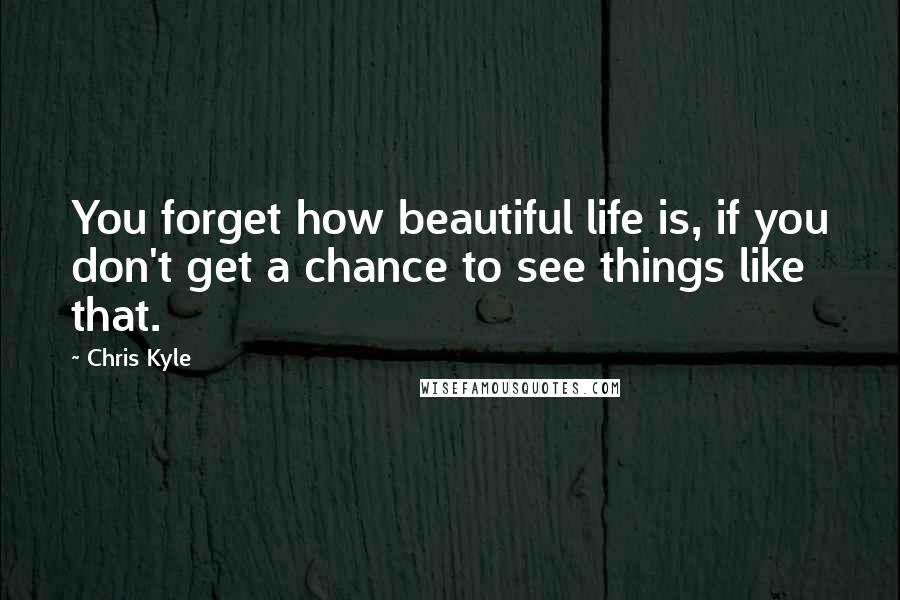 Chris Kyle quotes: You forget how beautiful life is, if you don't get a chance to see things like that.