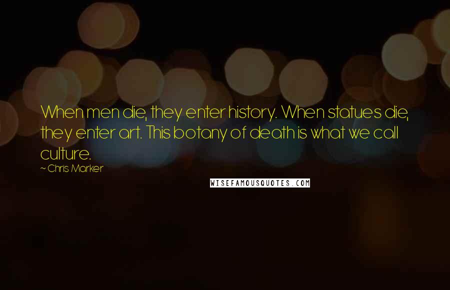 Chris Marker quotes: When men die, they enter history. When statues die, they enter art. This botany of death is what we call culture.