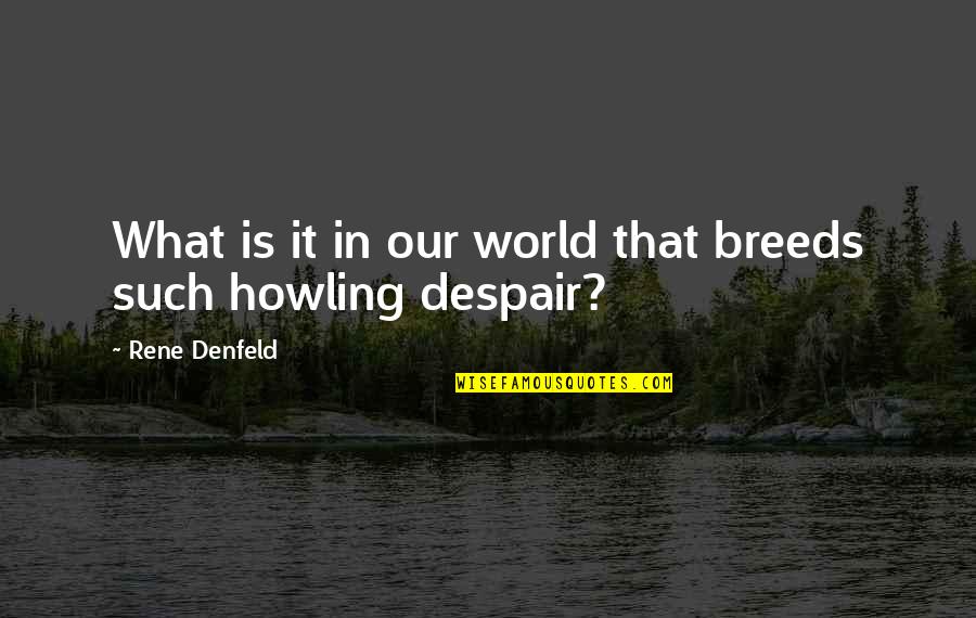 Chris Mccombs Quotes By Rene Denfeld: What is it in our world that breeds