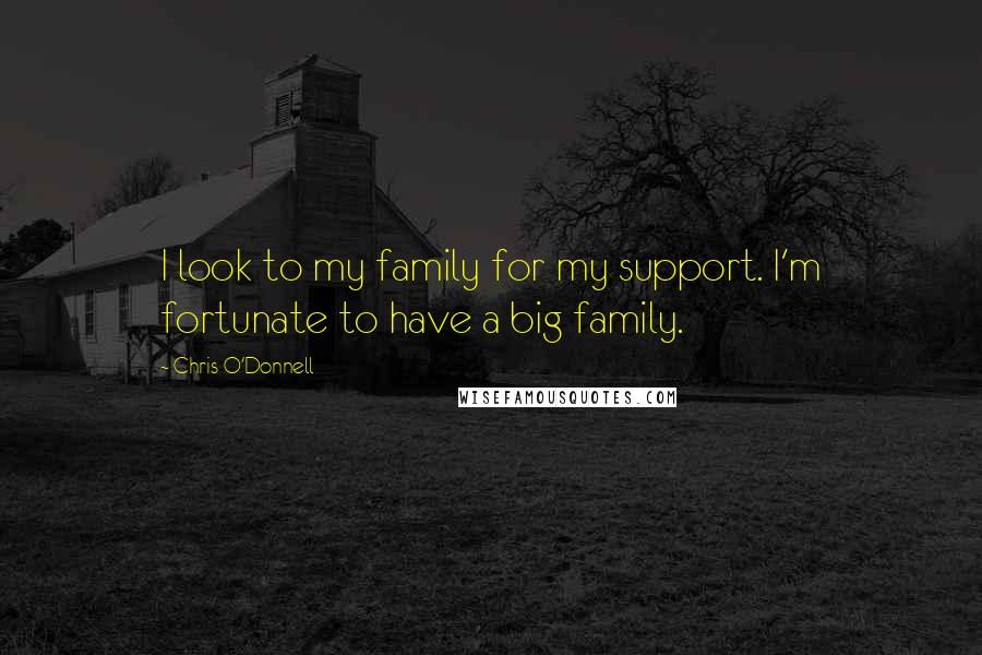 Chris O'Donnell quotes: I look to my family for my support. I'm fortunate to have a big family.