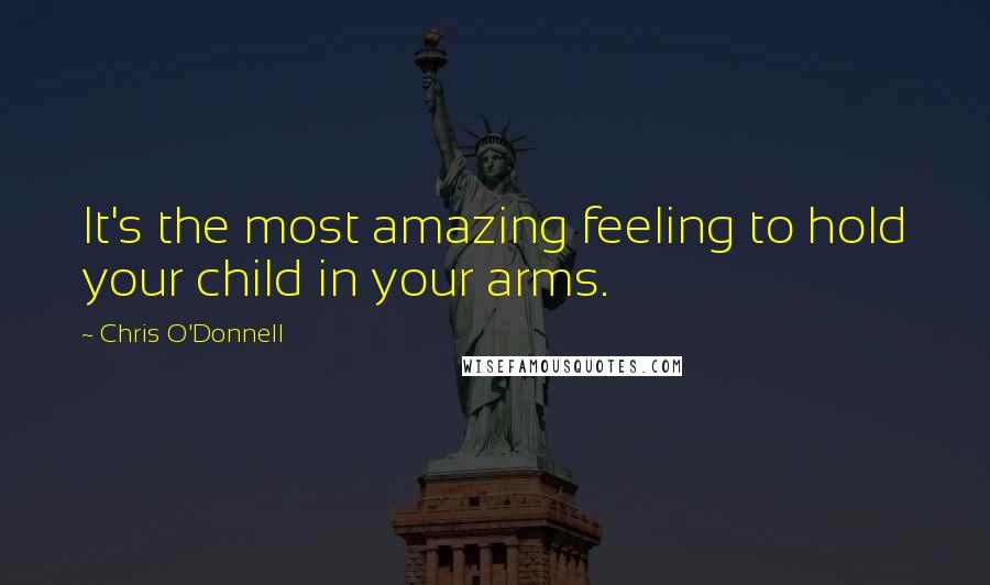 Chris O'Donnell quotes: It's the most amazing feeling to hold your child in your arms.