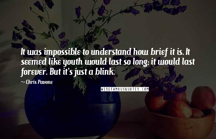 Chris Pavone quotes: It was impossible to understand how brief it is. It seemed like youth would last so long; it would last forever. But it's just a blink.