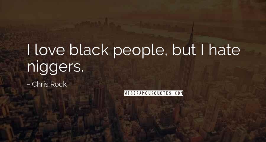 Chris Rock quotes: I love black people, but I hate niggers.