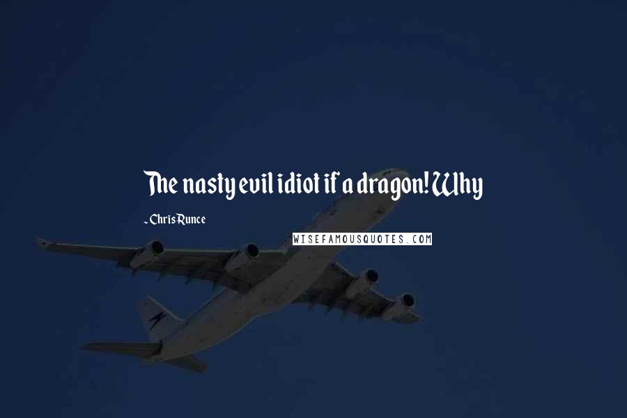 Chris Runce quotes: The nasty evil idiot if a dragon! Why