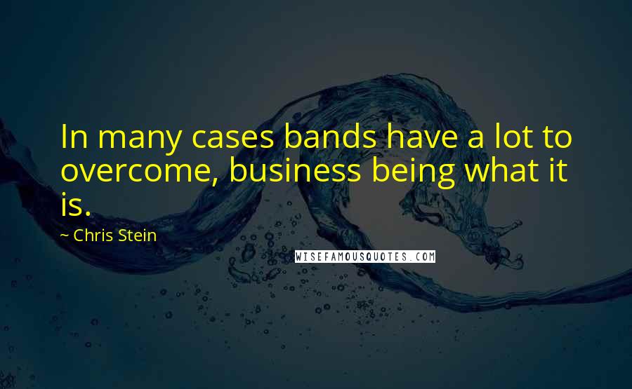 Chris Stein quotes: In many cases bands have a lot to overcome, business being what it is.