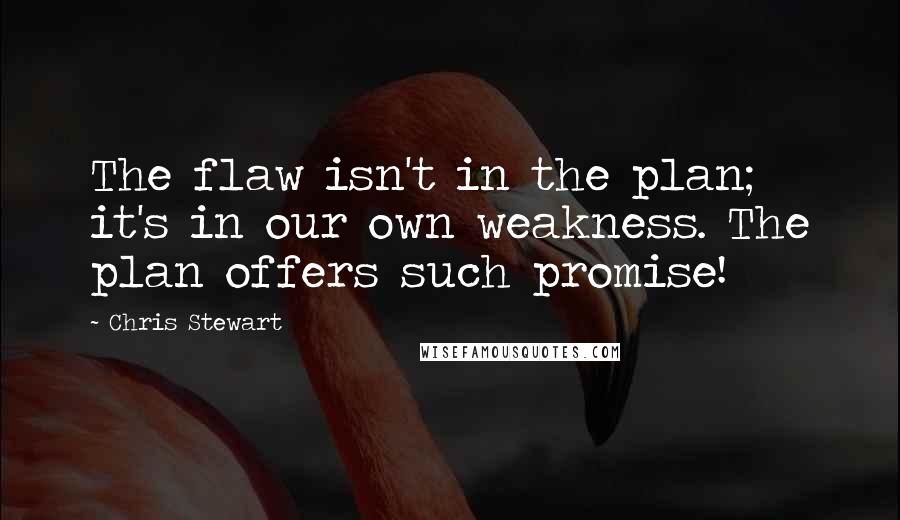 Chris Stewart quotes: The flaw isn't in the plan; it's in our own weakness. The plan offers such promise!