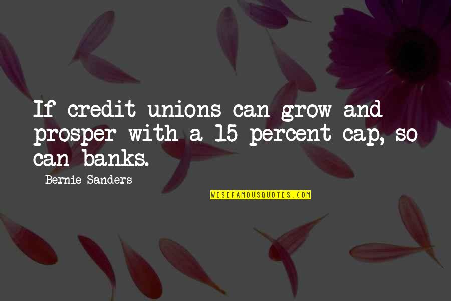 Chris Tomlin Quotes By Bernie Sanders: If credit unions can grow and prosper with