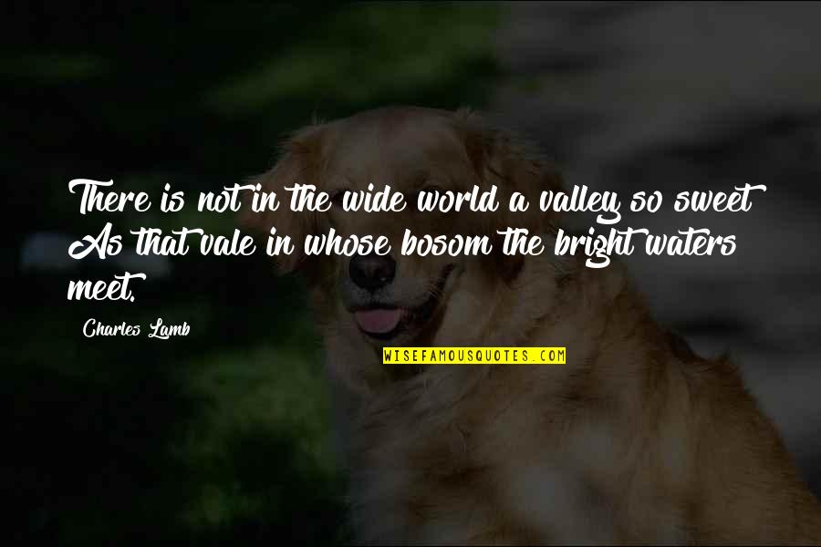 Chris Weinke Quotes By Charles Lamb: There is not in the wide world a
