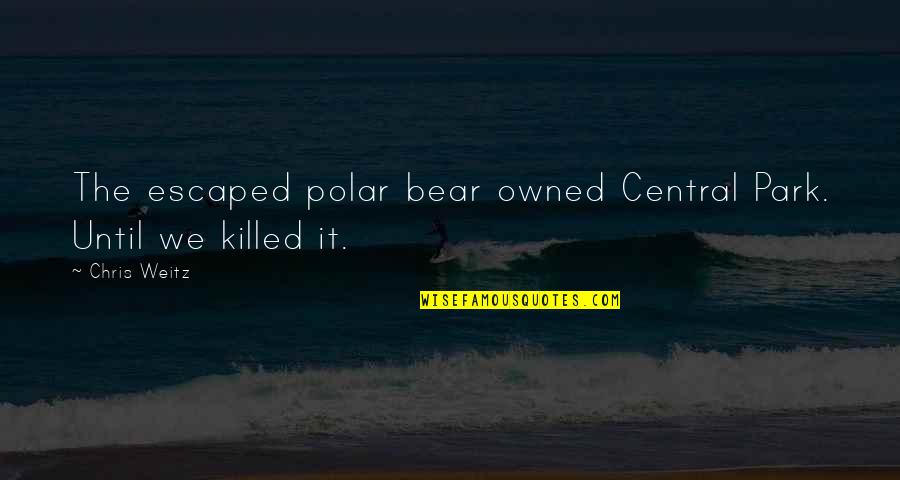 Chris Young Quotes By Chris Weitz: The escaped polar bear owned Central Park. Until