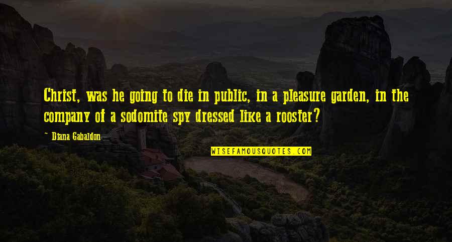 Christ Like Quotes By Diana Gabaldon: Christ, was he going to die in public, Christ Like Quotes By Diana Gabaldon: Christ, was he going to die in public,