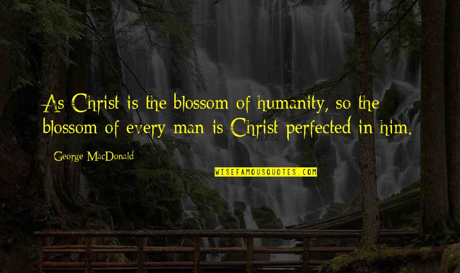 Christ S Humanity Quotes By George MacDonald: As Christ is the blossom of humanity, so