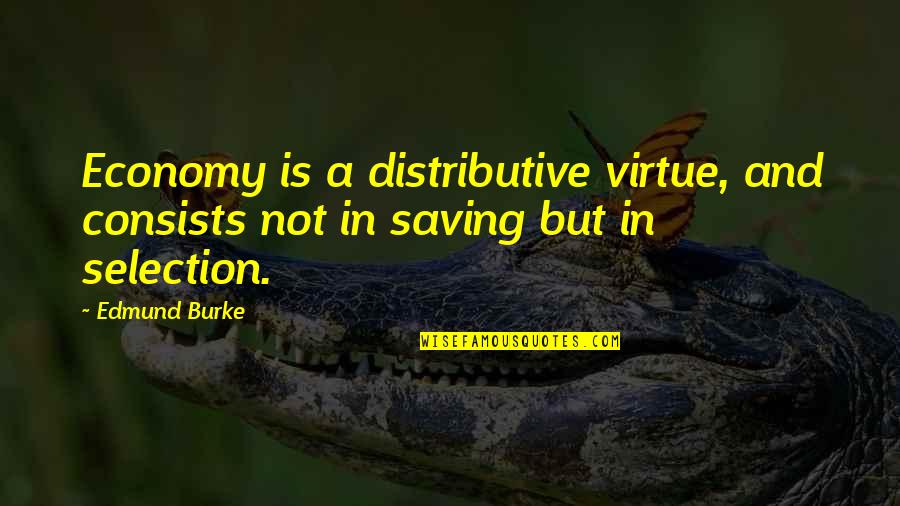 Christian 3281 Quotes By Edmund Burke: Economy is a distributive virtue, and consists not