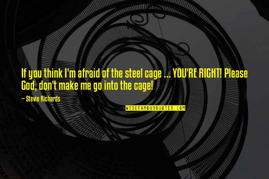 Christian Afterlife Quotes By Stevie Richards: If you think I'm afraid of the steel Christian Afterlife Quotes By Stevie Richards: If you think I'm afraid of the steel