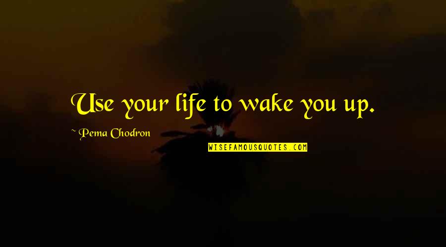 Christian Billboard Quotes By Pema Chodron: Use your life to wake you up.