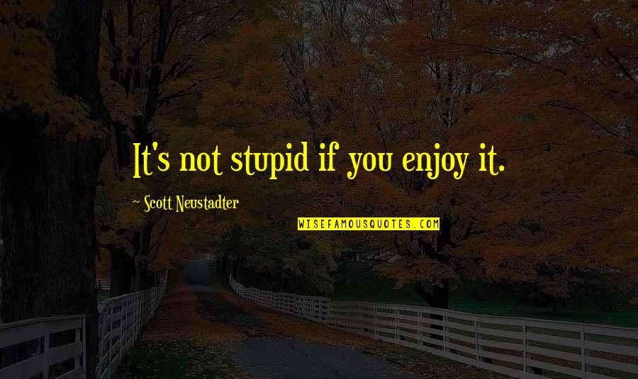 Christian Chastity Quotes By Scott Neustadter: It's not stupid if you enjoy it. Christian Chastity Quotes By Scott Neustadter: It's not stupid if you enjoy it.