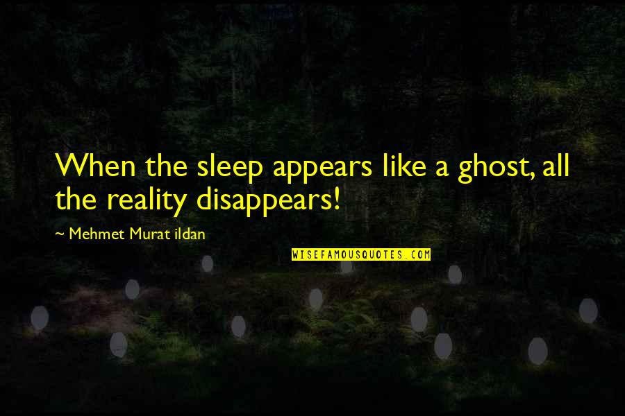 Christian Dior Shoes Quotes By Mehmet Murat Ildan: When the sleep appears like a ghost, all