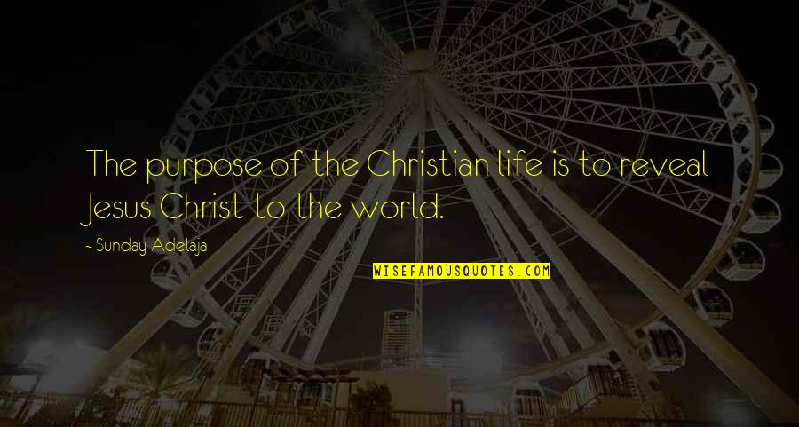 Christian Jesus Quotes By Sunday Adelaja: The purpose of the Christian life is to