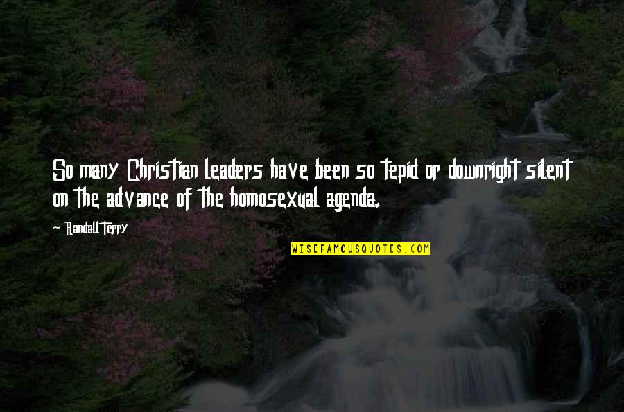 Christian Leaders Quotes By Randall Terry: So many Christian leaders have been so tepid