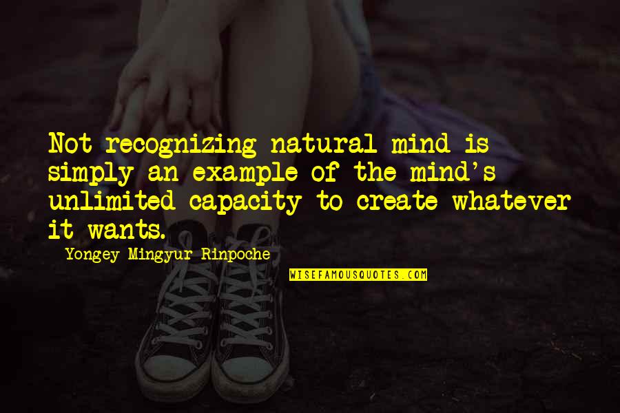 Christian License Plate Quotes By Yongey Mingyur Rinpoche: Not recognizing natural mind is simply an example Christian License Plate Quotes By Yongey Mingyur Rinpoche: Not recognizing natural mind is simply an example