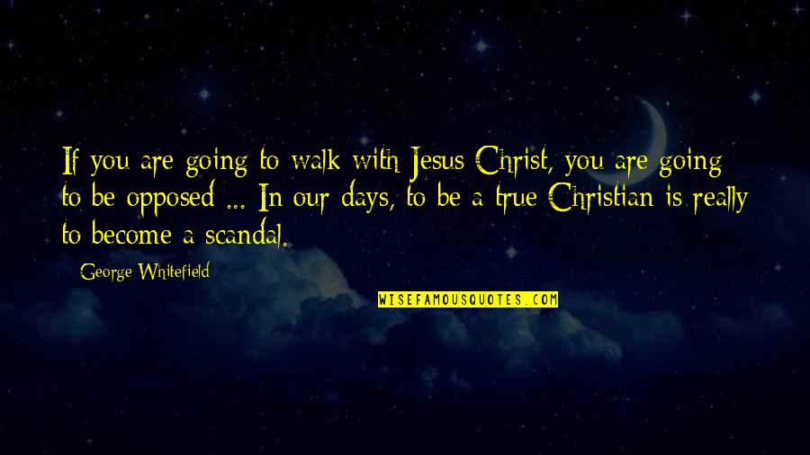 Christian Opposition Quotes By George Whitefield: If you are going to walk with Jesus