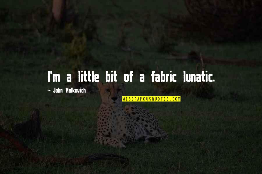 Christian Parenting Quotes By John Malkovich: I'm a little bit of a fabric lunatic.