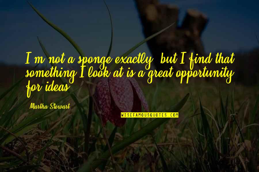Christian Pilgrimage Quotes By Martha Stewart: I'm not a sponge exactly, but I find
